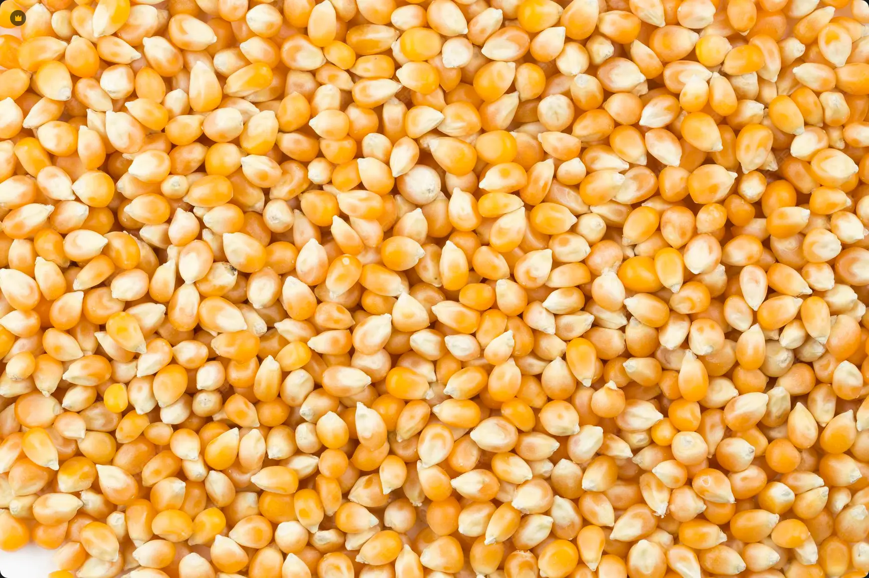 Trusted Partnerships