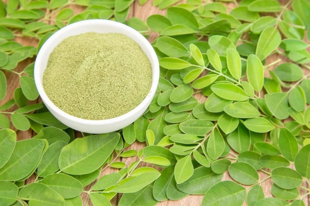 MoringaLeafPowder