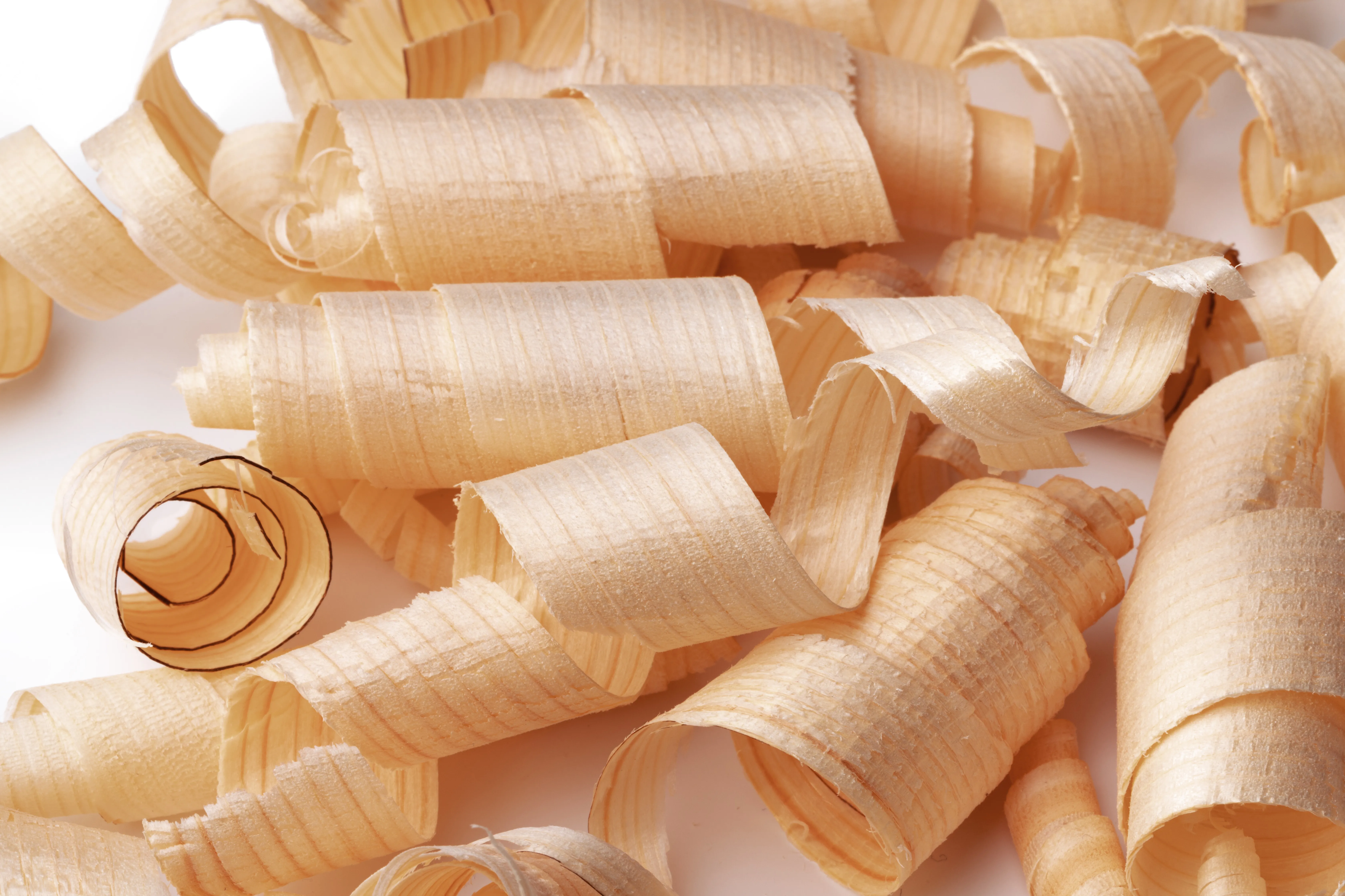 wood shavings
